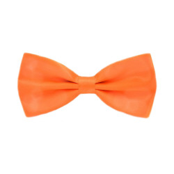 Orange Butterfly