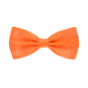 Orange Butterfly