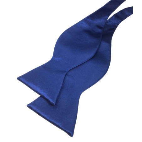 Blå Selvbinder Butterfly