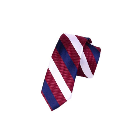 Rød/Blå/Hvid Stribet Slips